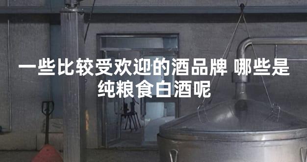 一些比较受欢迎的酒品牌 哪些是纯粮食白酒呢